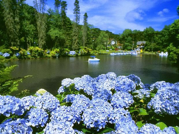Caminho Das Colinas Gramado Exterior foto