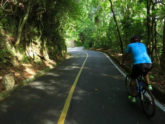 Caminho Das Colinas Gramado Exterior foto
