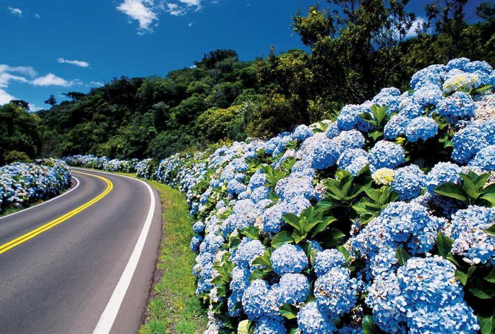 Caminho Das Colinas Gramado Exterior foto