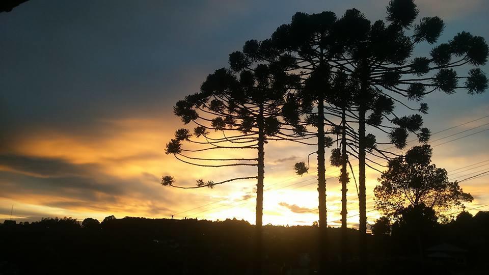 Caminho Das Colinas Gramado Exterior foto