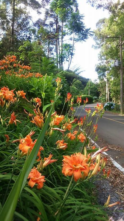 Caminho Das Colinas Gramado Exterior foto