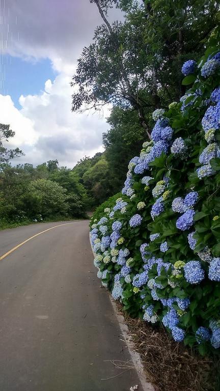 Caminho Das Colinas Gramado Exterior foto